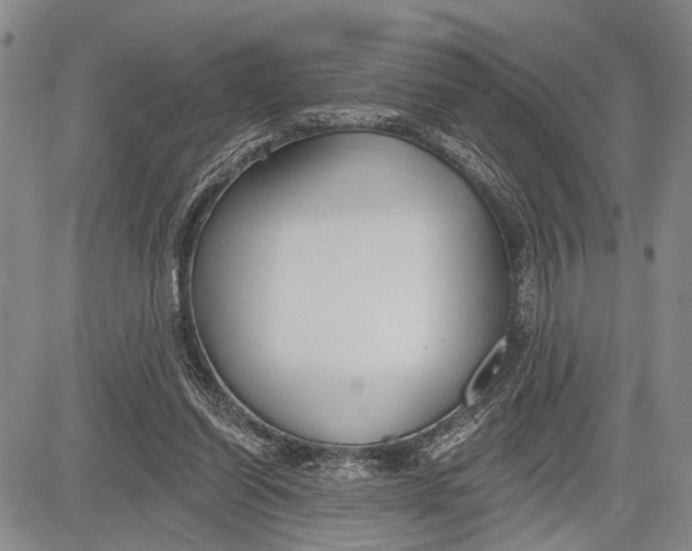 X0000081600254200702051336