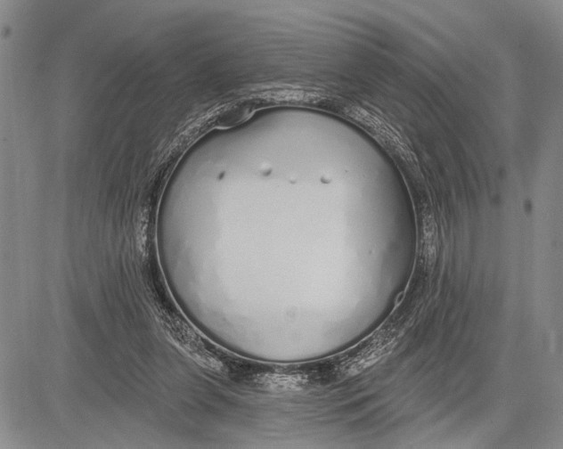 X0000081600255200702051336