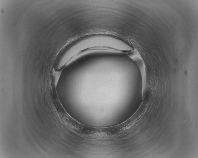 X0000081600256200702051336