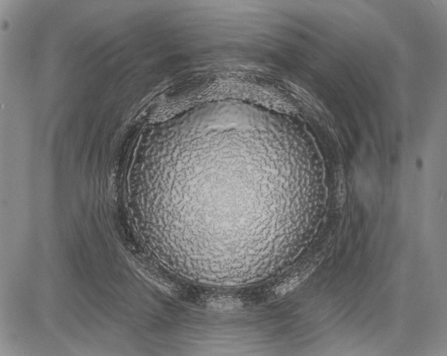 X0000081600258200702051336