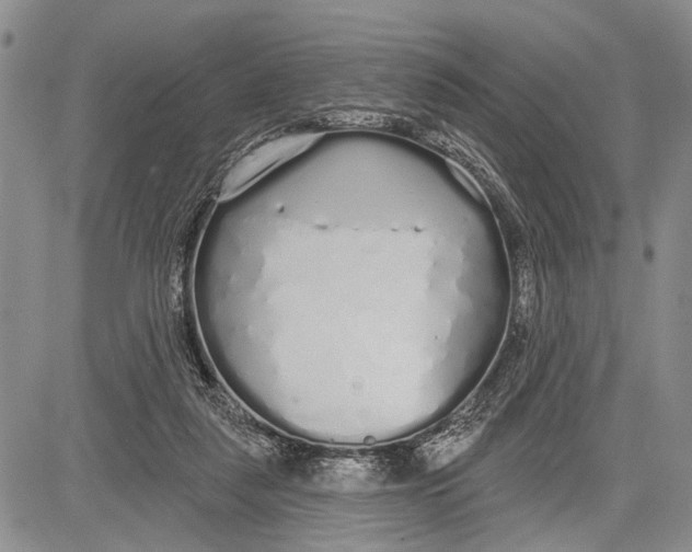 X0000081600259200702051336