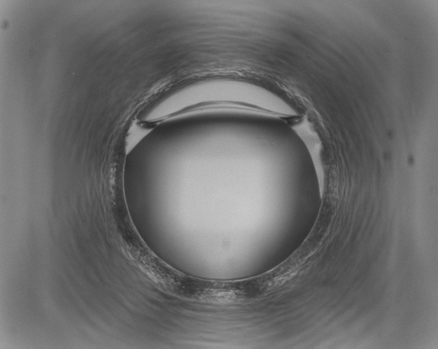 X0000081600260200702051336