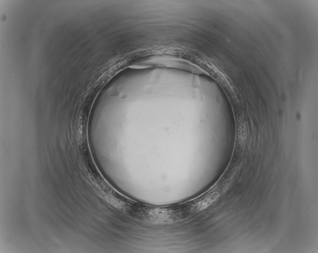 X0000081600261200702051336