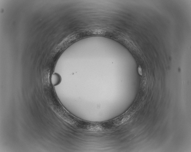 X0000081600262200702051336