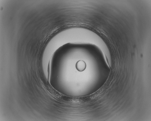 X0000081600264200702051336