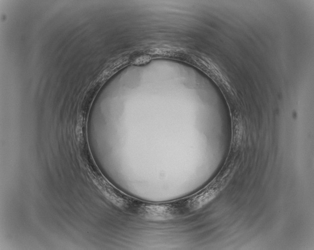 X0000081600265200702051336