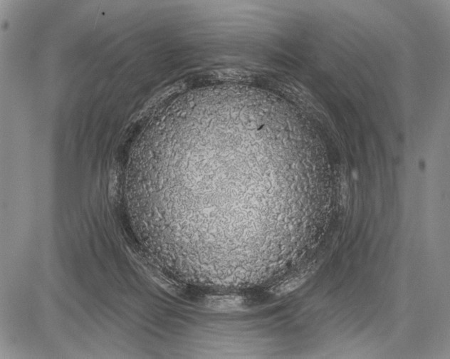 X0000081600266200702051336