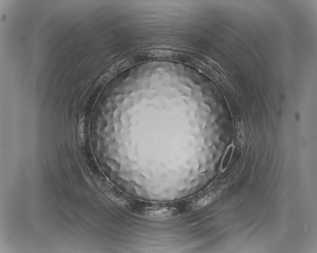 X0000081600267200702051337