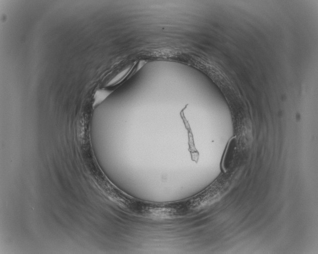 X0000081600268200702051337