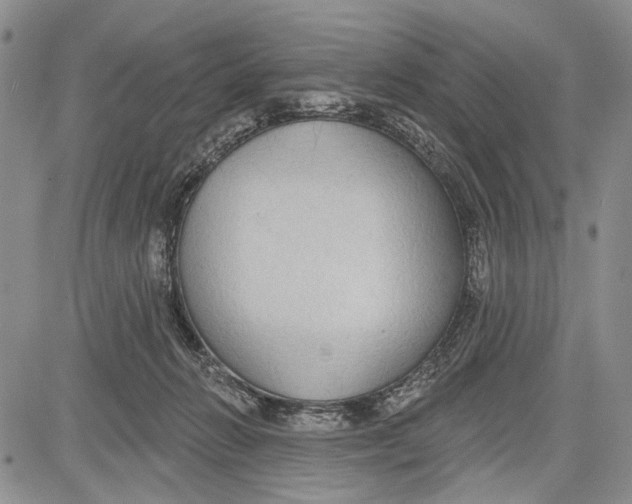 X0000081600270200702051337