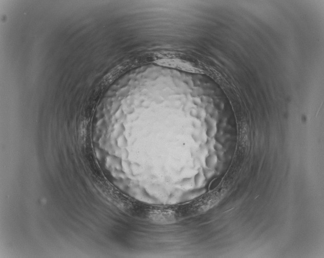 X0000081600271200702051337