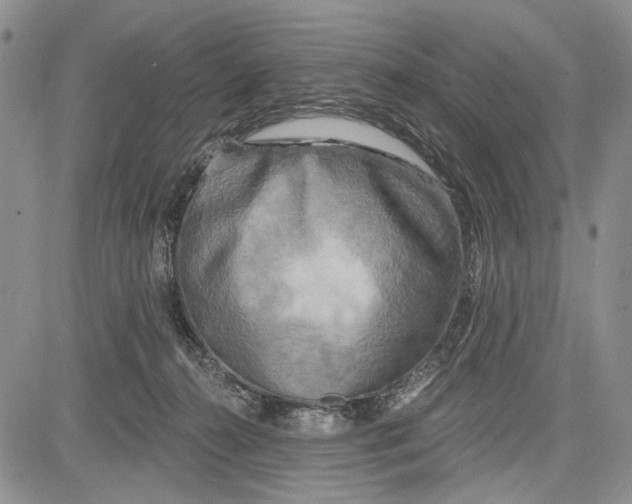 X0000081600272200702051337