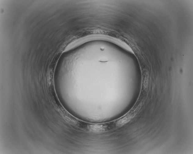 X0000081600273200702051337