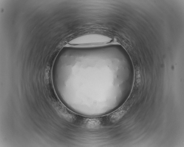 X0000081600275200702051337