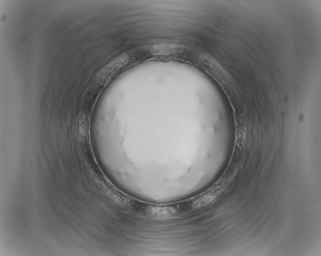 X0000081600277200702051337