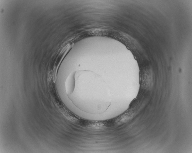 X0000081600278200702051337