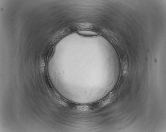 X0000081600279200702051337