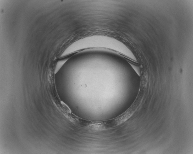 X0000081600280200702051337