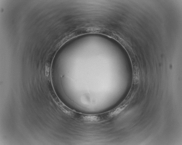 X0000081600281200702051337