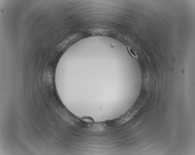 X0000081600282200702051337