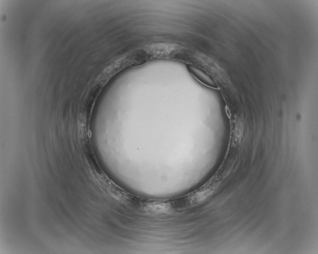 X0000081600283200702051337