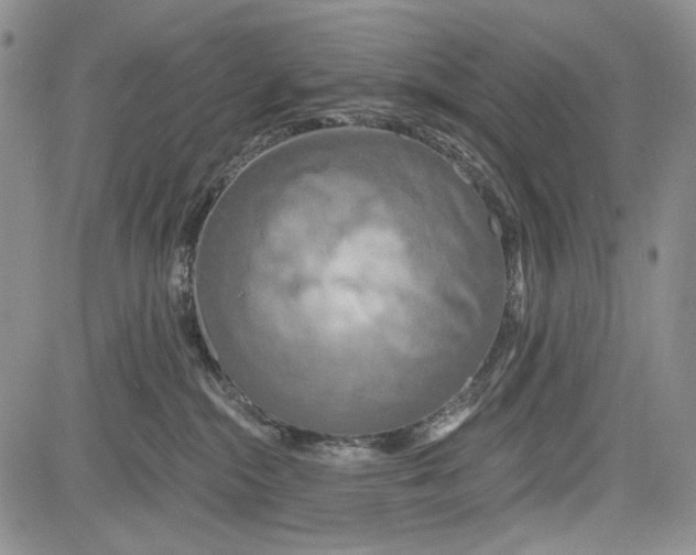 X0000081600284200702051337