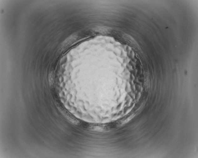 X0000081600285200702051337