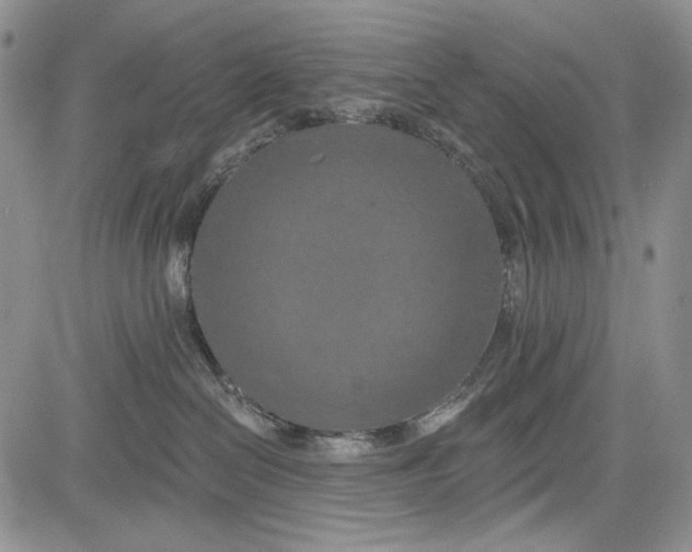 X0000081600286200702051337