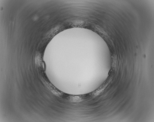 X0000081600287200702051337