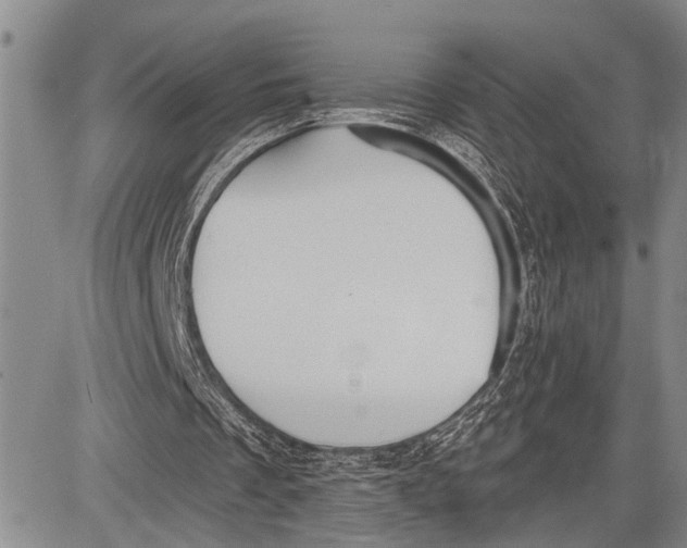 X0000081600289200702051336