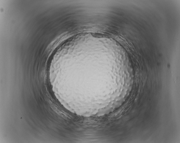 X0000081600290200702051336