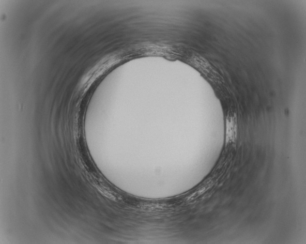 X0000081600291200702051336