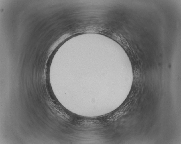 X0000081600292200702051336