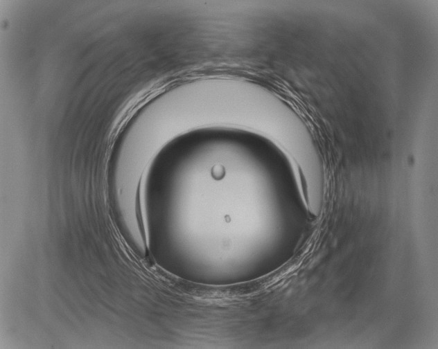 X0000081600293200702051336