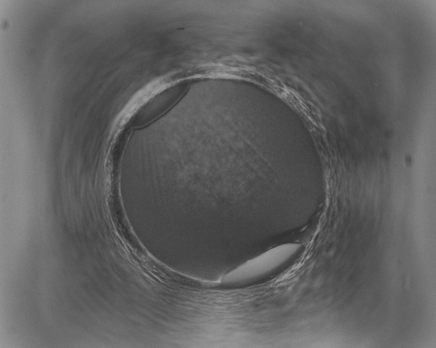 X0000081600295200702051336