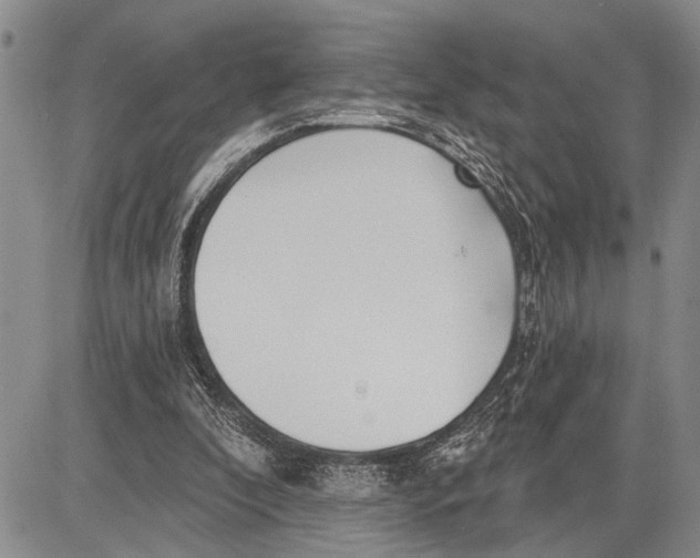 X0000081600296200702051336