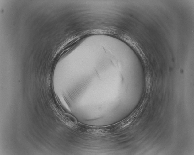 X0000081600297200702051336