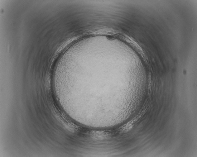 X0000081600298200702051336