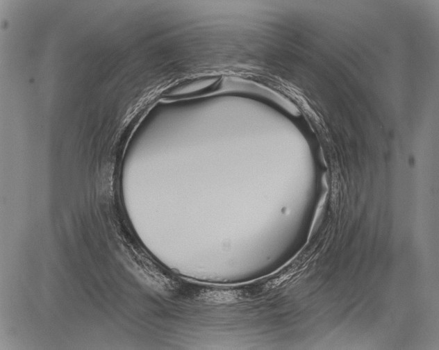 X0000081600299200702051336