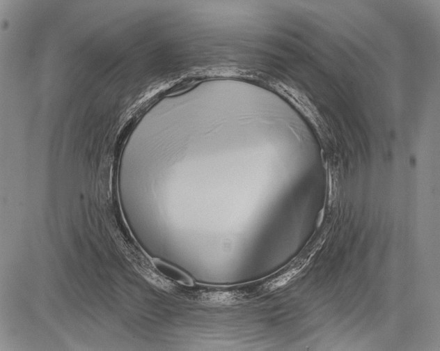 X0000081600301200702051336