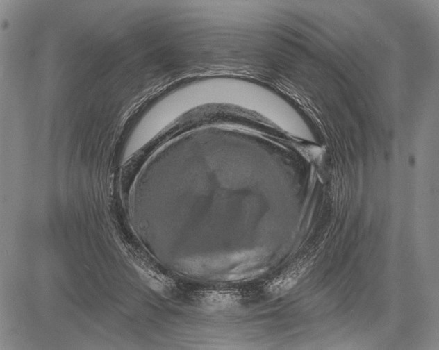 X0000081600303200702051336