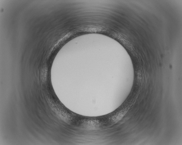 X0000081600304200702051336