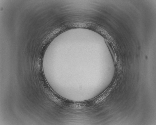 X0000081600305200702051336