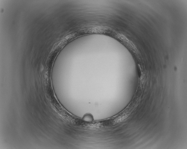 X0000081600306200702051336