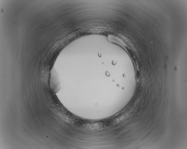 X0000081600307200702051336