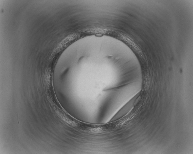 X0000081600309200702051336