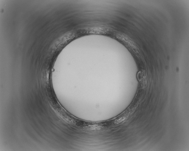 X0000081600310200702051336