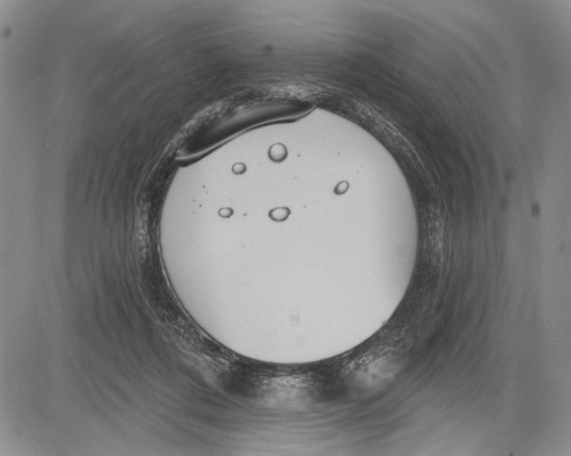 X0000081600312200702051336