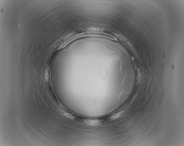 X0000081600313200702051336