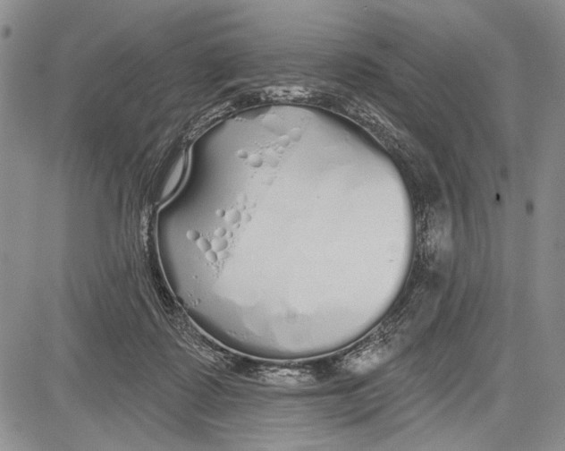 X0000081600315200702051336